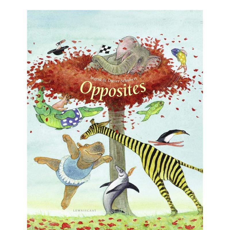 对立面 OPPOSITES 原