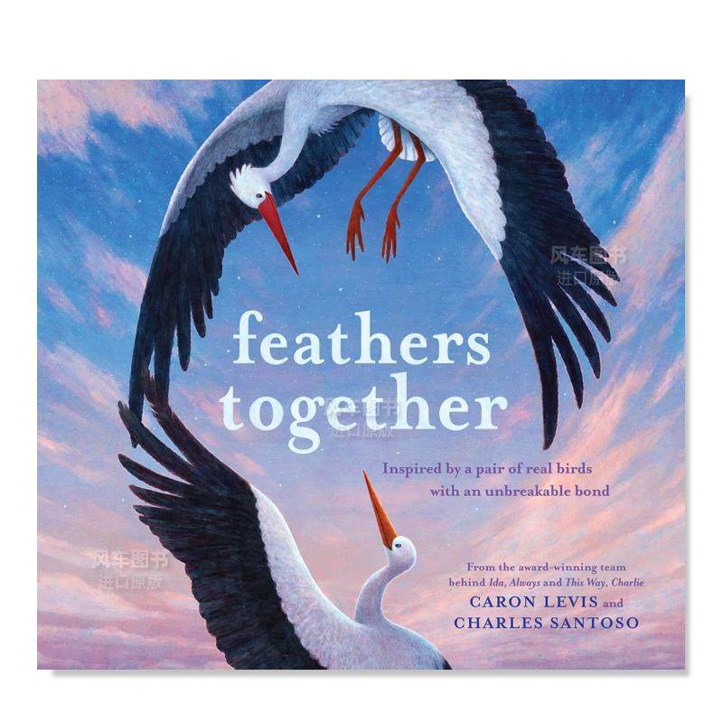 【现货】春日再聚英文儿童绘本动物生态环保进口原版外版书精装3-6周岁Feathers Together Charles SantosoAbrams Appleseed