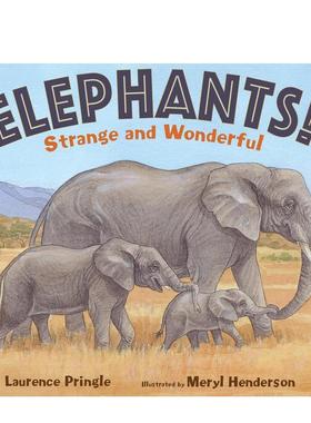 【现货】大象Elephants!英文儿童绘本动物生态环保Laurence Pringle精装Boyds Mills Press3-6岁进口原版书9781635924794