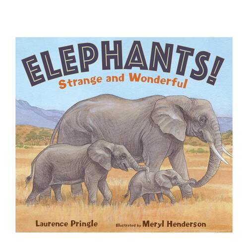 大象！ Elephants!
