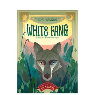 【现货】白牙 插图版White Fang英文儿童故事Domenico Russo精装9岁-12岁White star进口原版书9788854420533