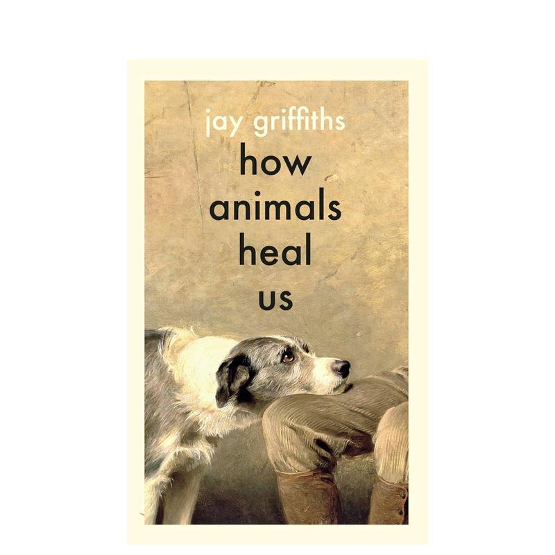 动物如何治愈我们 How An