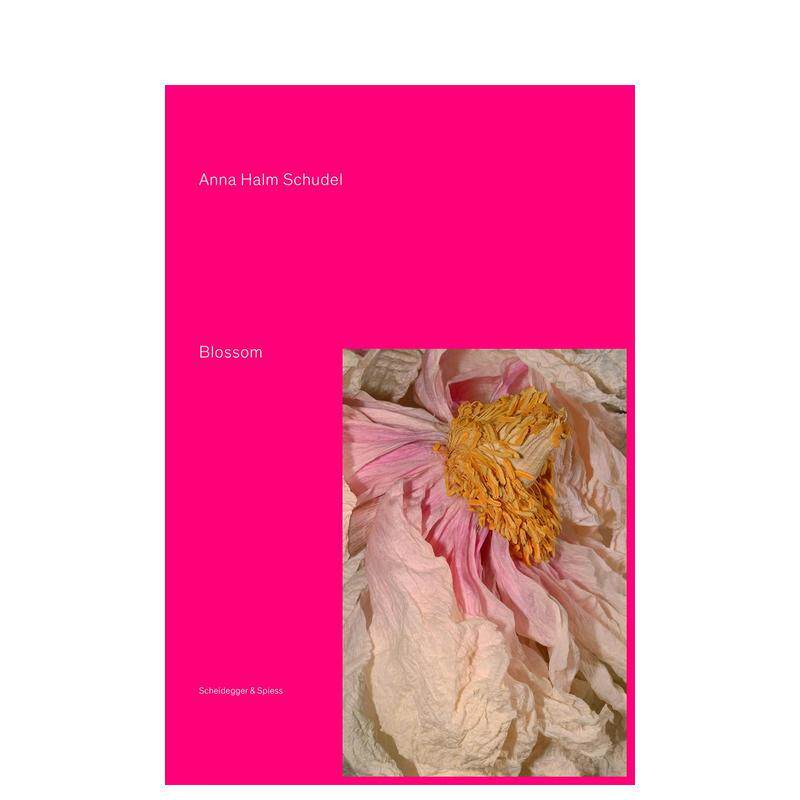 【预售】绽放Blossom英文摄影集自然景观Anna Halm Schudel精装Scheidegger & Spiess进口原版书9783858816214