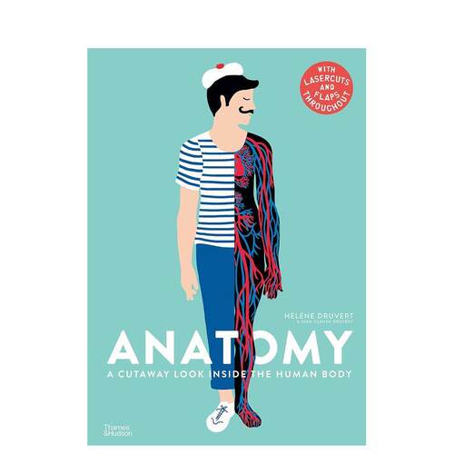 人体结构 Anatomy 原版