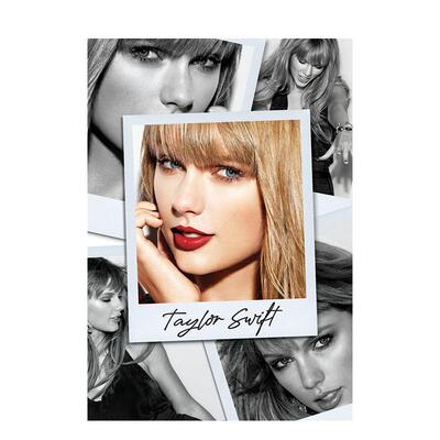 【现货】泰勒斯威夫特 霉霉礼品画册Taylor Swift英文音乐精裝Holly Corbett进口原版书Hearst Home9781958395684