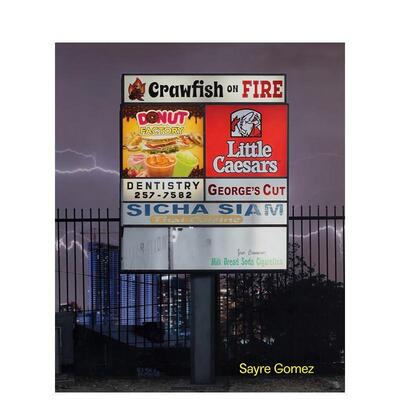 【现货】赛尔 戈麦斯Sayre Gomez英文艺术家艺术工作室Sayre Gomez精装JRP|Editions进口原版书9783037646236