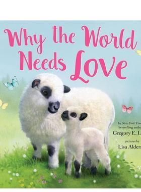 【现货】为什么世界需要爱英文儿童绘本自我认知情绪管理进口原版书精装Why the World Needs Love Gregory E Lang Sourcebooks
