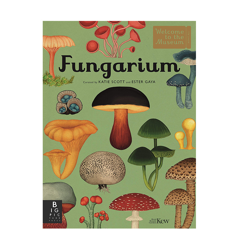 Fungarium真菌馆英文精装