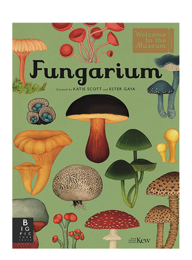 【现货】【欢迎来到博物馆】真菌馆英文儿童绘本知识百科进口原版书精装【Welcome to the Museum】Fungarium Royal Botanic