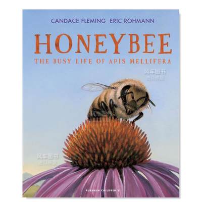 【预 售】蜜蜂：意大利蜜蜂忙碌的生活 Honeybee: The Busy Life of Apis Mellifera英文儿童绘本 动物/生态/环保 原版图书进口外