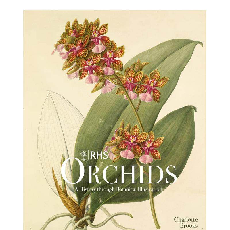 【预售】皇家园艺协会兰花 插画图鉴RHS Orchids英文插画原画设定集Charlotte BrooksACC Art Books精装进口原版书