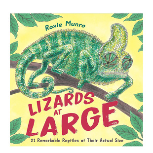 【预售】逍遥法外的蜥蜴：21种实际大小的非凡爬行动物英文儿童绘本动物生态环保进口原版外版书精装3-6周岁Lizards at Large: 2