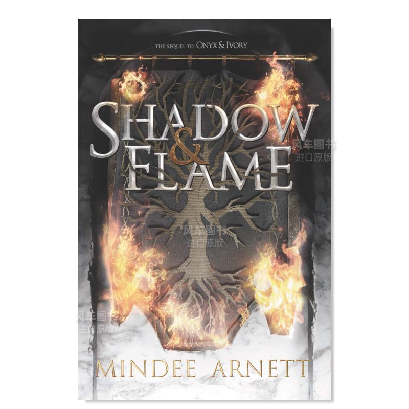 【现货】阴影和火焰英文青少年读物进口原版书Shadow & Flame ARNETT MINDEE著Balzer & Bray出版