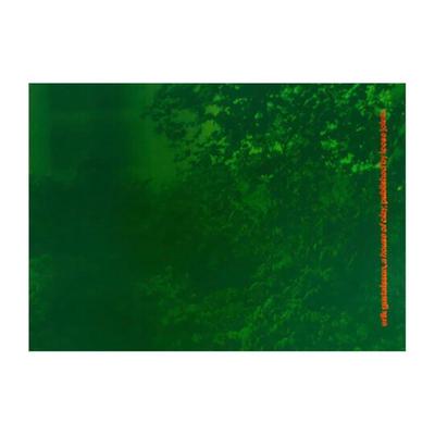 【现货】泥塑之屋 瑞典摄影师Erik GustafssonA House of Clay英文摄影师专辑Erik Gustafsson平装Loose Joints进口原版书9781912