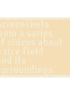 【预售】Cintia Tortosa Santisteban稻田周边摄影集Cintia Tortosa Santisteban Screenshots from 英文摄影集摄影师专辑精装Ci