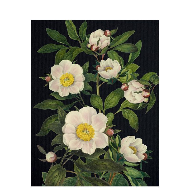 记事本 - 繁花 Bloomi