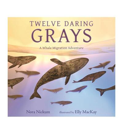【预售】十二抹深海灰：鲸群迁徙冒险Twelve Daring Grays: A Whale Migration Adventure英文儿童绘本动物生态环保Nora Nickum精
