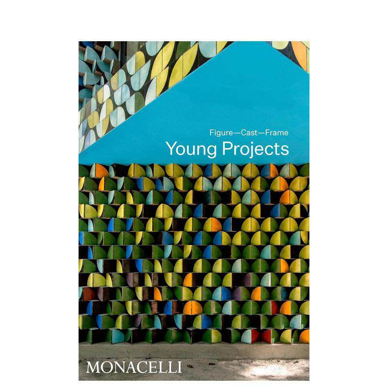 【预售】纽约Young Projects建筑事务所塑形铸材构架Young Projects英文建筑设计建筑师工作室Bryan Young精装The Monacelli Pres