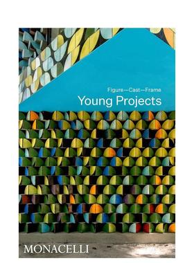 【预售】纽约Young Projects建筑事务所塑形铸材构架Young Projects英文建筑设计建筑师工作室Bryan Young精装The Monacelli Pres