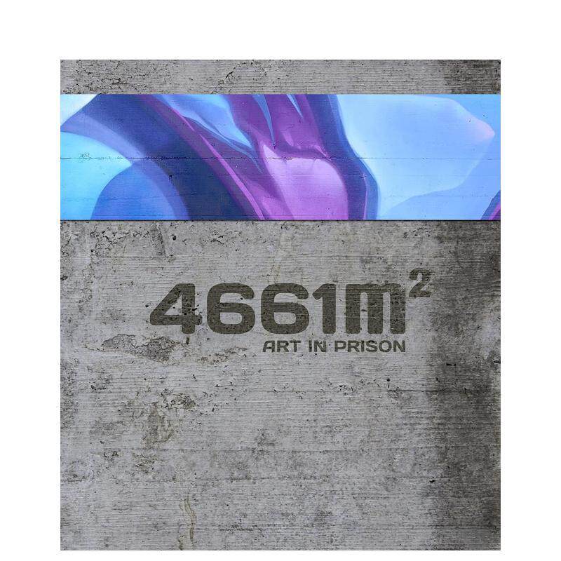 【现货】4661平方米 监狱中的艺术4661m2 ART IN PRISON英文外国美术当代Malik精装Niggli Verlag进口原版书9783721209471