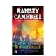 CampbellFlame 现货 Days Sunset Tree 日落海滩前13天Thirteen 进口原版 Publishing平装 Beach英文文学小说Ramsey 书978178