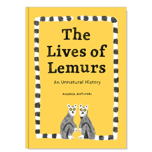 【预售】【意大利插画师Andrea Antinori】狐猴的生活英文儿童绘本插画师进口原版外版书精装3岁-6岁The Lives of LemursTra Boo