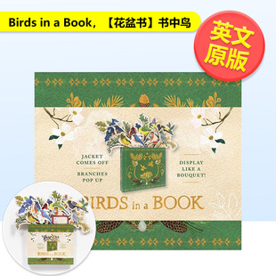 【现货】【花盆书】书中鸟Birds in a Book英文生活综合Lesley Earle精装Abrams进口原版书9781419733932