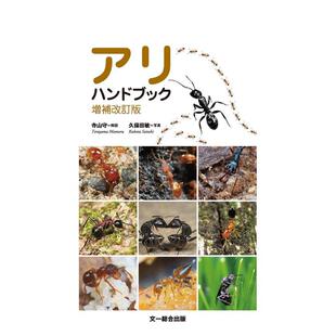 【现货】蚂蚁手册 增补改订版日文工具书寺山 守文一総合出版进口原版书9784829981603アリハンドブック 増补改订版