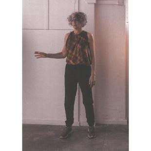 设计情节Shelley Lasica：The Editions进口原版 现货 书 TheodorePerimeter 雪莱.拉西卡 Plot英文艺术家艺术工作室Zoe Design