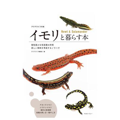 【预售】与蝾螈共居指南日文生活综合进口原版图书イモリと暮らす本　Newt & Salamander アクアライフ编集部エムピ—ジェ—