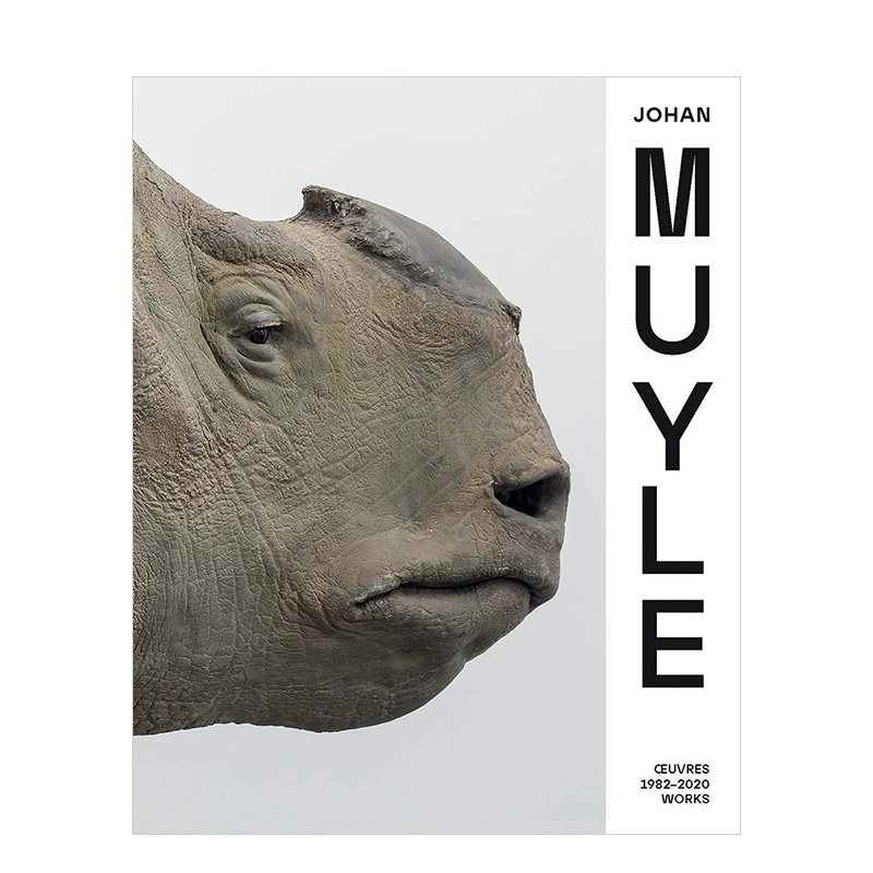 【现货】约翰·穆伊尔Johan Muyle英文当代艺术外国美术精装Denis GielenDenis Gielen