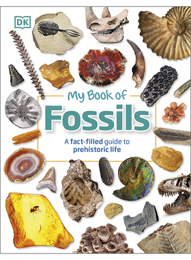 【现货】【DK生活事实丛书】化石英文儿童绘本知识百科进口原版外版书精装9岁-12岁【My Book of】FossilsDean R. LomaxDK Child