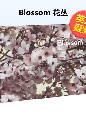 【预售】花丛英文摄影人文景观进口原版外版书精装Blossom Thomas Demand MACK