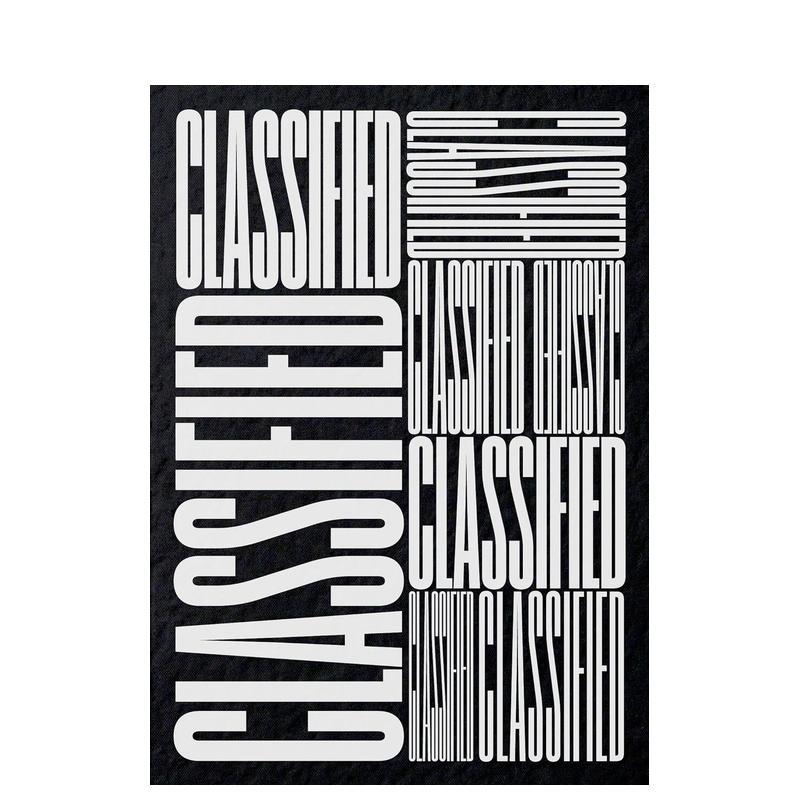 【现货】分类广告美国南方小镇当地广告视觉实录Classified英文平面设计广告包装设计Hamish SmythStandards Manual平装进口原版书