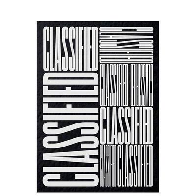 【现货】分类广告美国南方小镇当地广告视觉实录Classified英文平面设计广告包装设计Hamish SmythStandards Manual平装进口原版书