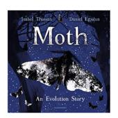 现货 Children6 飞蛾Moth英文儿童绘本动物生态环保Isabel Thomas平装 Bloomsbury 9岁进口原版 书9781526610553