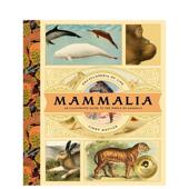 Peck 书精装 现货 Mattice 哺乳动物世界图鉴儿童绘本儿童绘本动物生态环保进口原版 Lindy and Mammalia Bushel