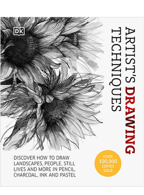 【预售】【DK】艺术家绘画技法：铅笔炭笔钢笔粉蜡笔（新版）英文艺术技法与入门赏析进口原版外版书精装14岁以上Artist's Drawin