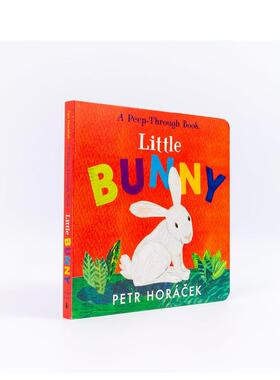 【预售】【英国插画师Petr Horácek】小兔英文儿童趣味进口原版外版书纸板书3-6周岁Little BunnyPetr HorácekWalker Books UK