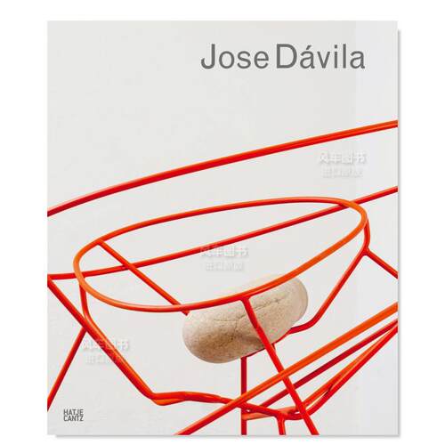 【预售】何塞·达维拉英文艺术家艺术工作室进口原版外版书精装Jose DávilaJeffrey GroveHatje Cantz