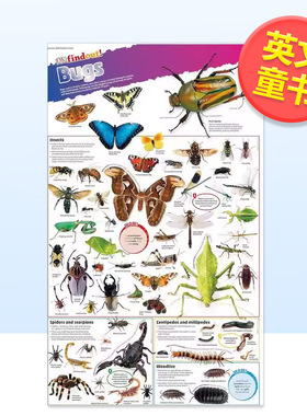 【预售】虫子海报DKfindout Poster Bugs英文儿童趣味DK平装DK Children进口原版书9780241295823