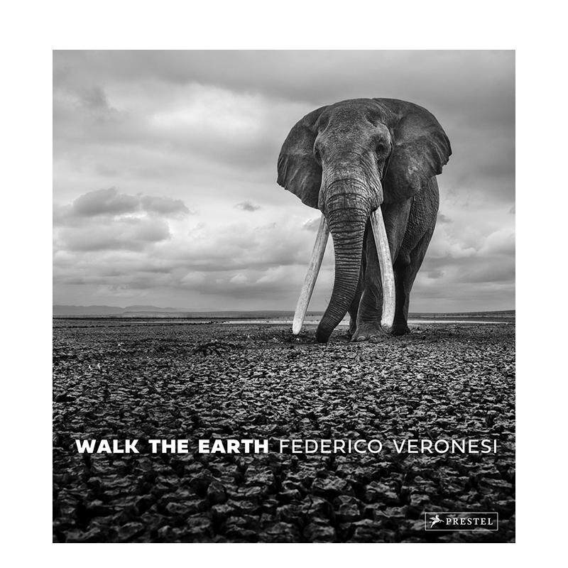 【现货】与象同行非洲最后巨象影像志Walk the Earth Photographs of Africa's Last Great Elephants英文摄影集自然景观Federico