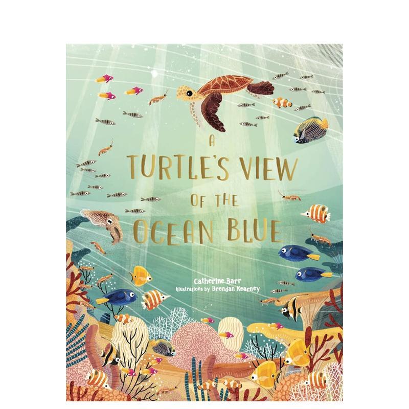 海龟眼中的海洋 A Turtl