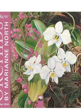 【现货】【Flame Tree】邱园玛丽安诺斯的兰花 2026年迷你挂历艺术日历Kew Gardens: Orchids by Marianne North Mini Wall Calen
