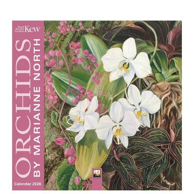 【现货】【Flame Tree】邱园玛丽安诺斯的兰花 2026年迷你挂历艺术日历Kew Gardens: Orchids by Marianne North Mini Wall Calen