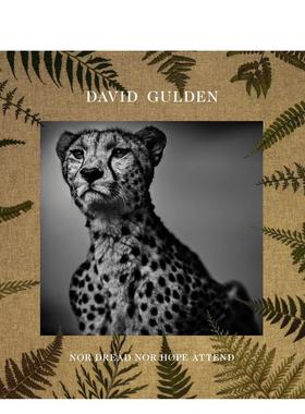 【现货】David Gulden：无惧无望（非洲平原摄影记录）英文摄影纪实进口原版外版书精装14岁以上David Gulden: Nor Dread Nor Ho