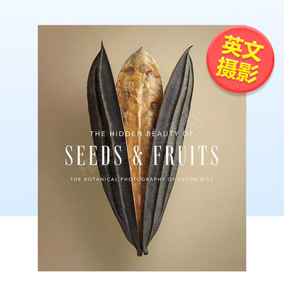 种子和果实的隐藏之美植物静物