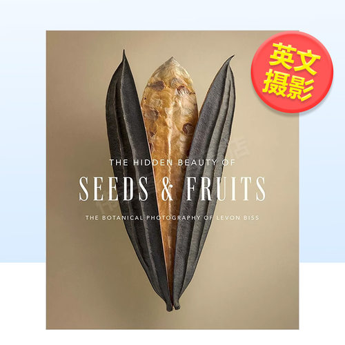 种子和果实的隐藏之美植物静物