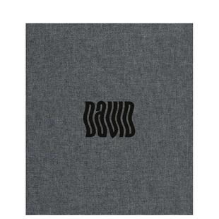 预售 Regan英文摄影集摄影师专辑Denis Art 大卫鲍伊David ACC 丹尼斯奥里根镜头下 Books进口 Bowie O’Regan精装 Denis