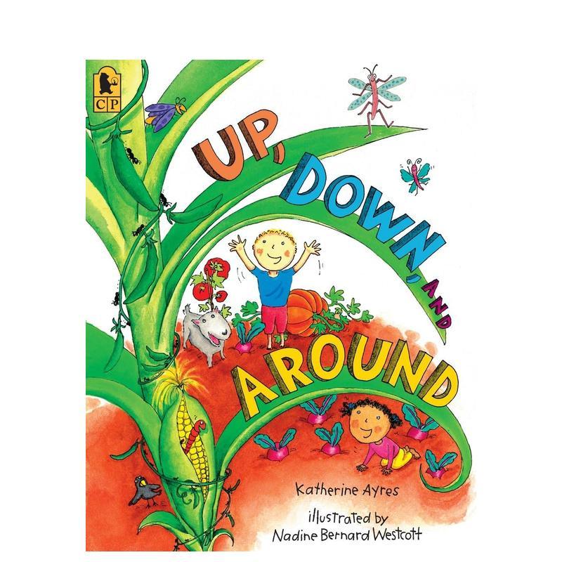 上下和周围 Up Down A